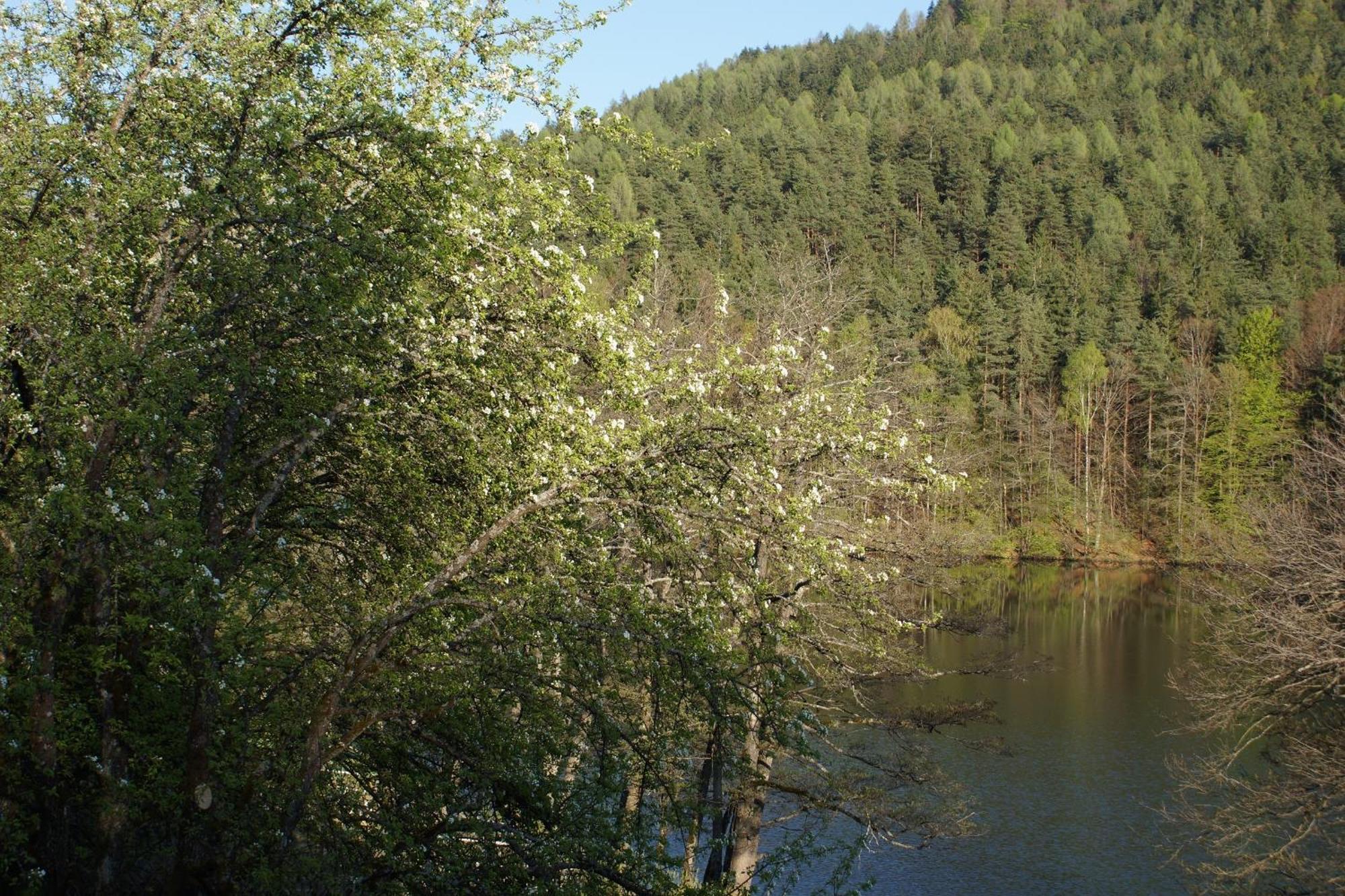 Landgasthof Trattnig Schiefling am See Bilik gambar