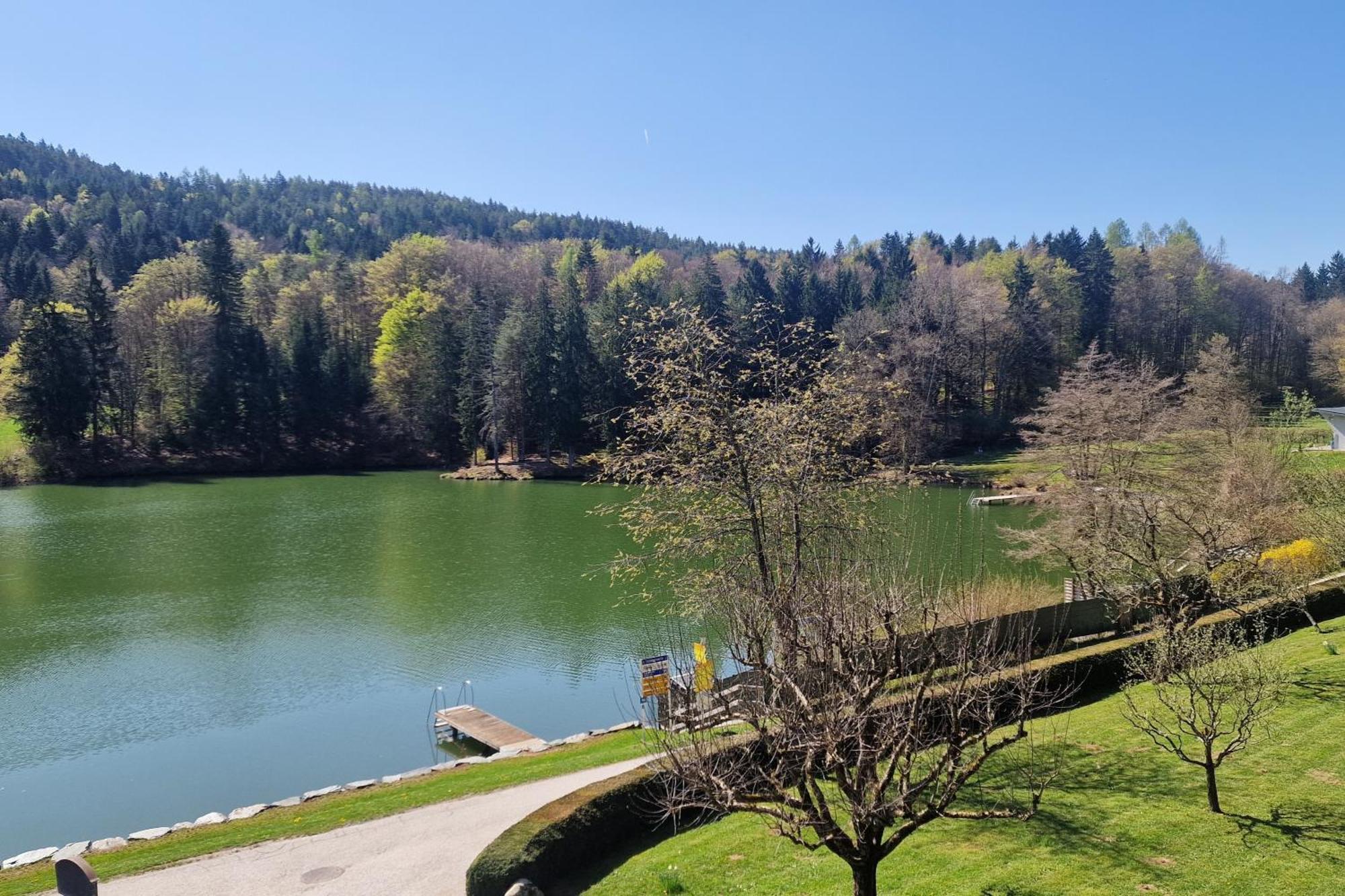 Landgasthof Trattnig Schiefling am See Bilik gambar