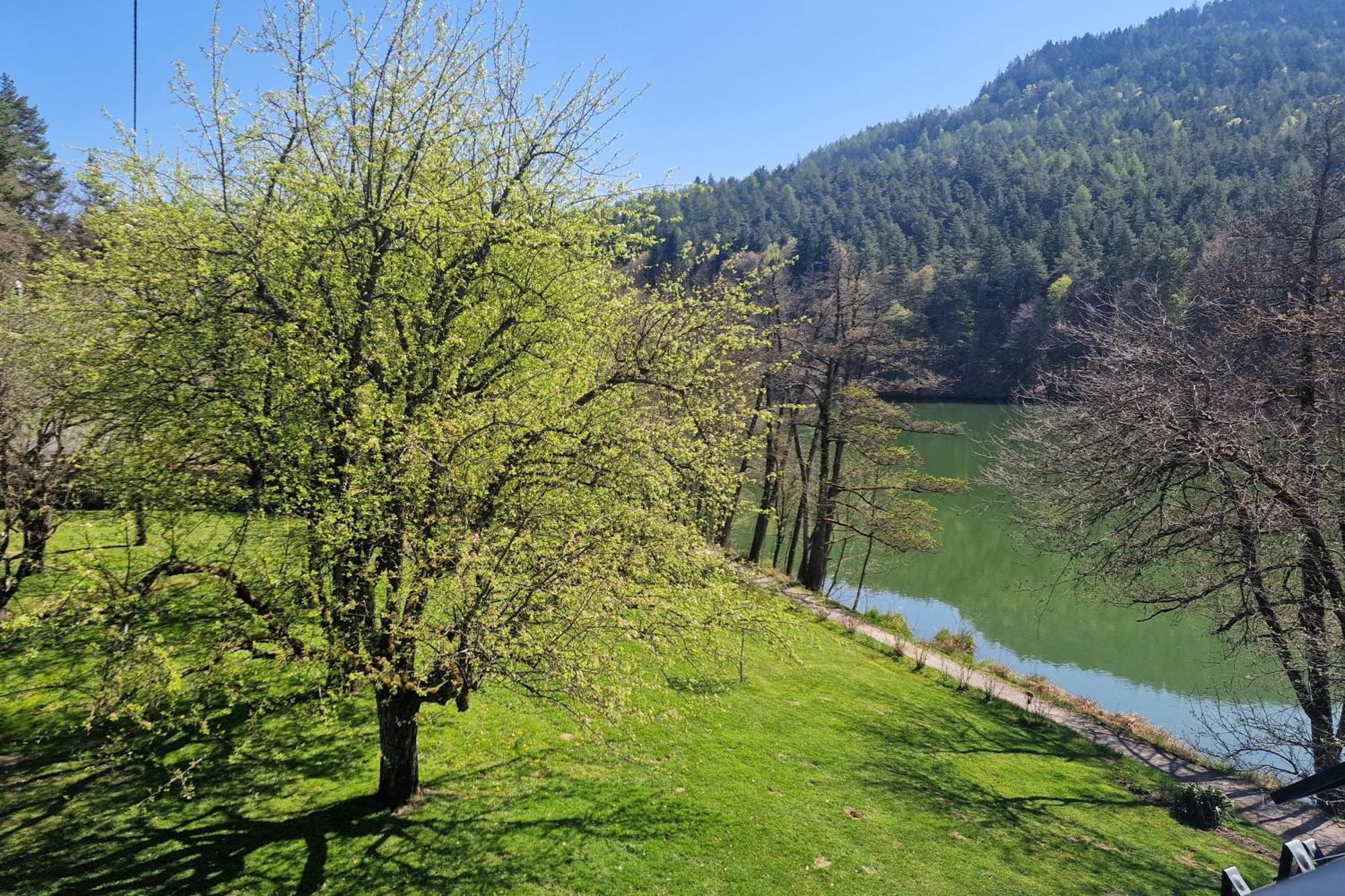 Landgasthof Trattnig Schiefling am See Bilik gambar