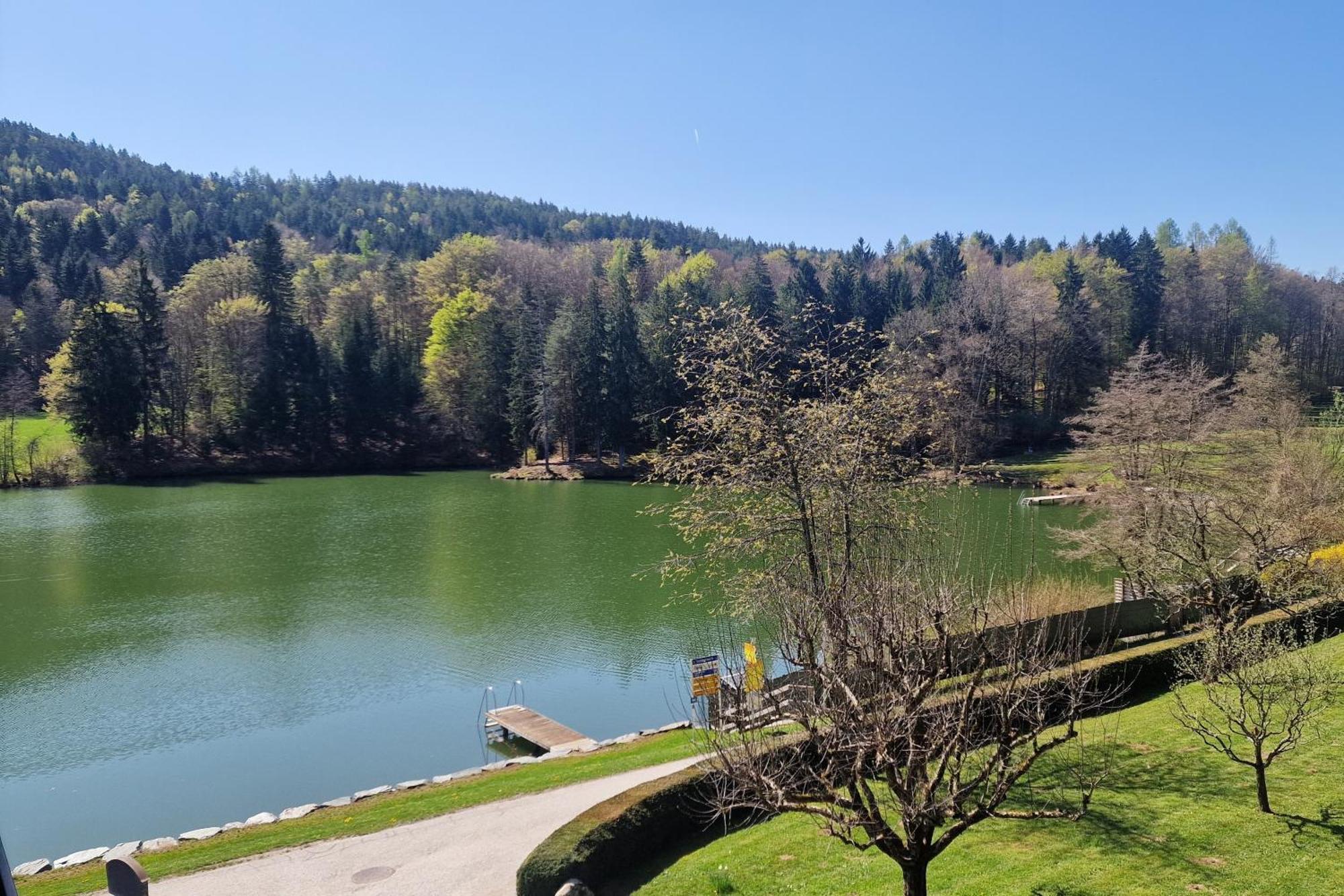 Landgasthof Trattnig Schiefling am See Bilik gambar