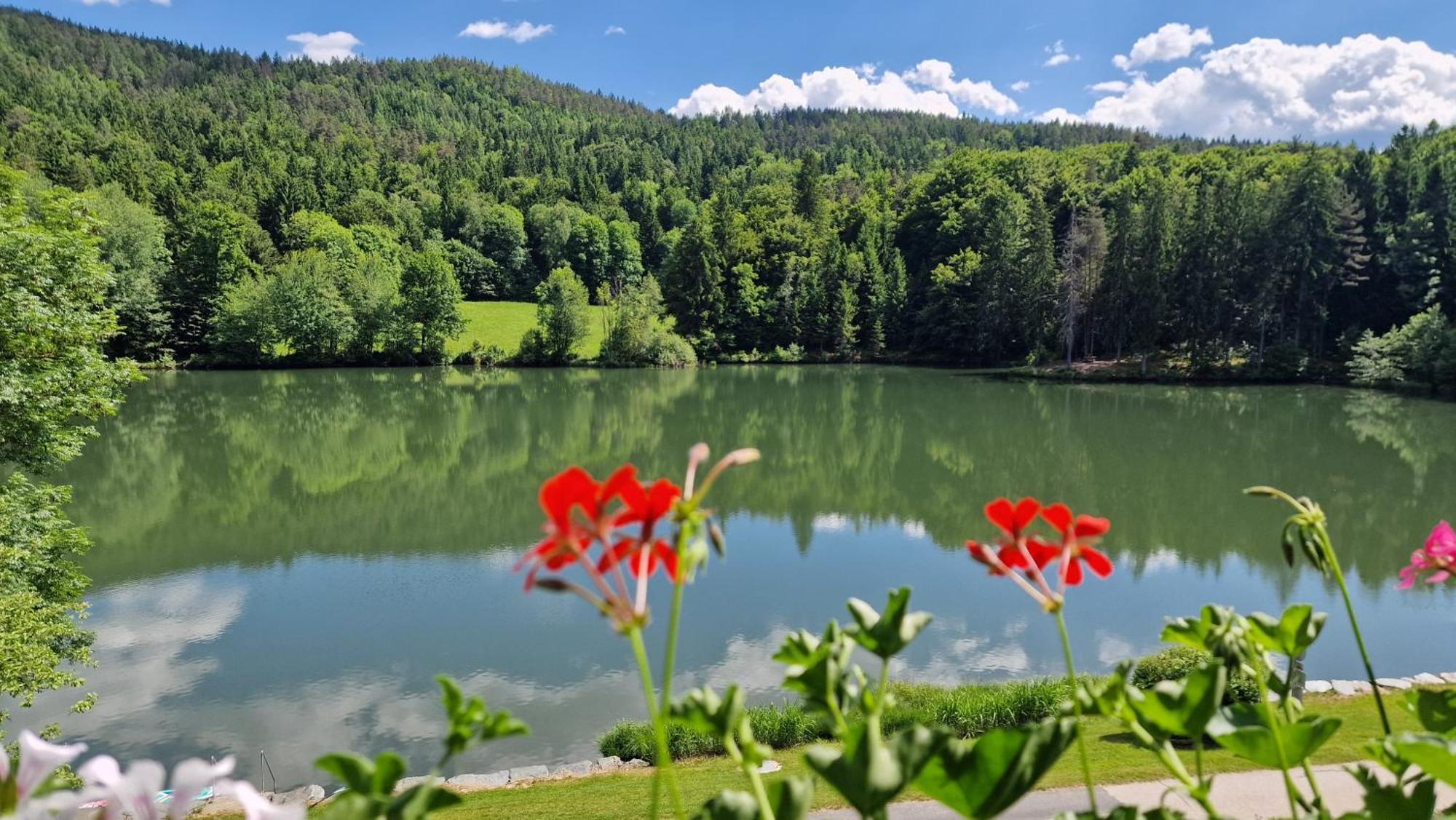 Landgasthof Trattnig Schiefling am See Bilik gambar